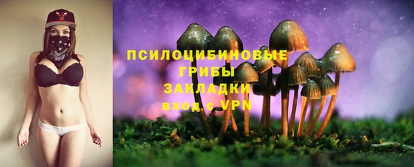 гидропоника Шадринск
