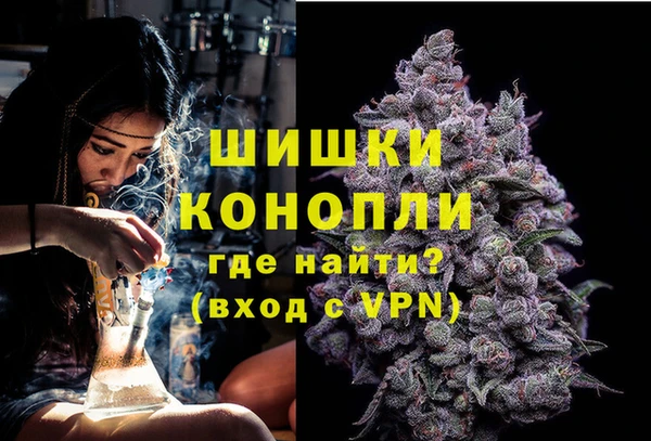 бошки Каменка