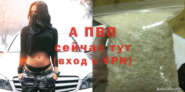 герыч Шали