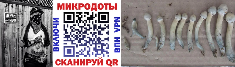 Купить закладки  Андреаполь  Галлюциногенные грибы GOLDEN TEACHER 